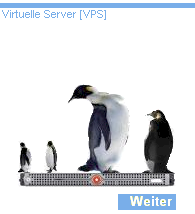 Virtuelle Server (VPS)